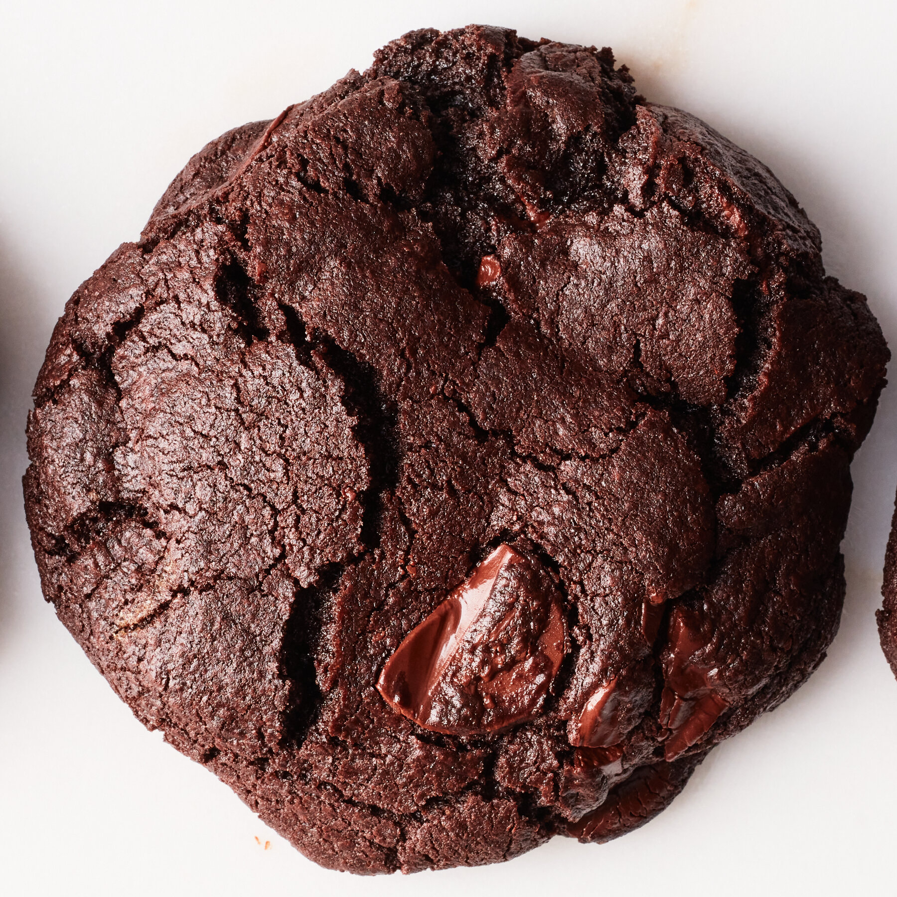 Double Chocolate chip Cookie
